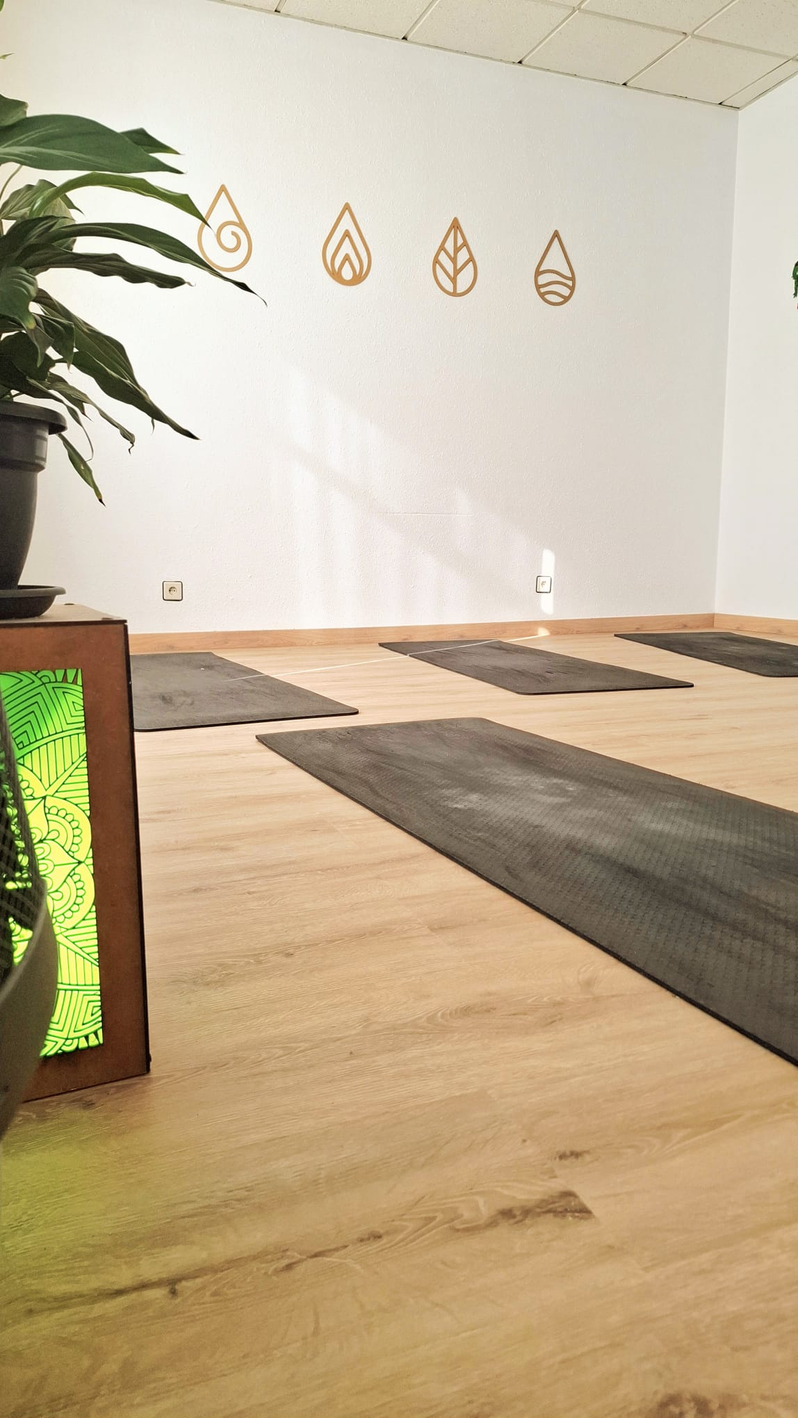 Nuestra sala — vista 1