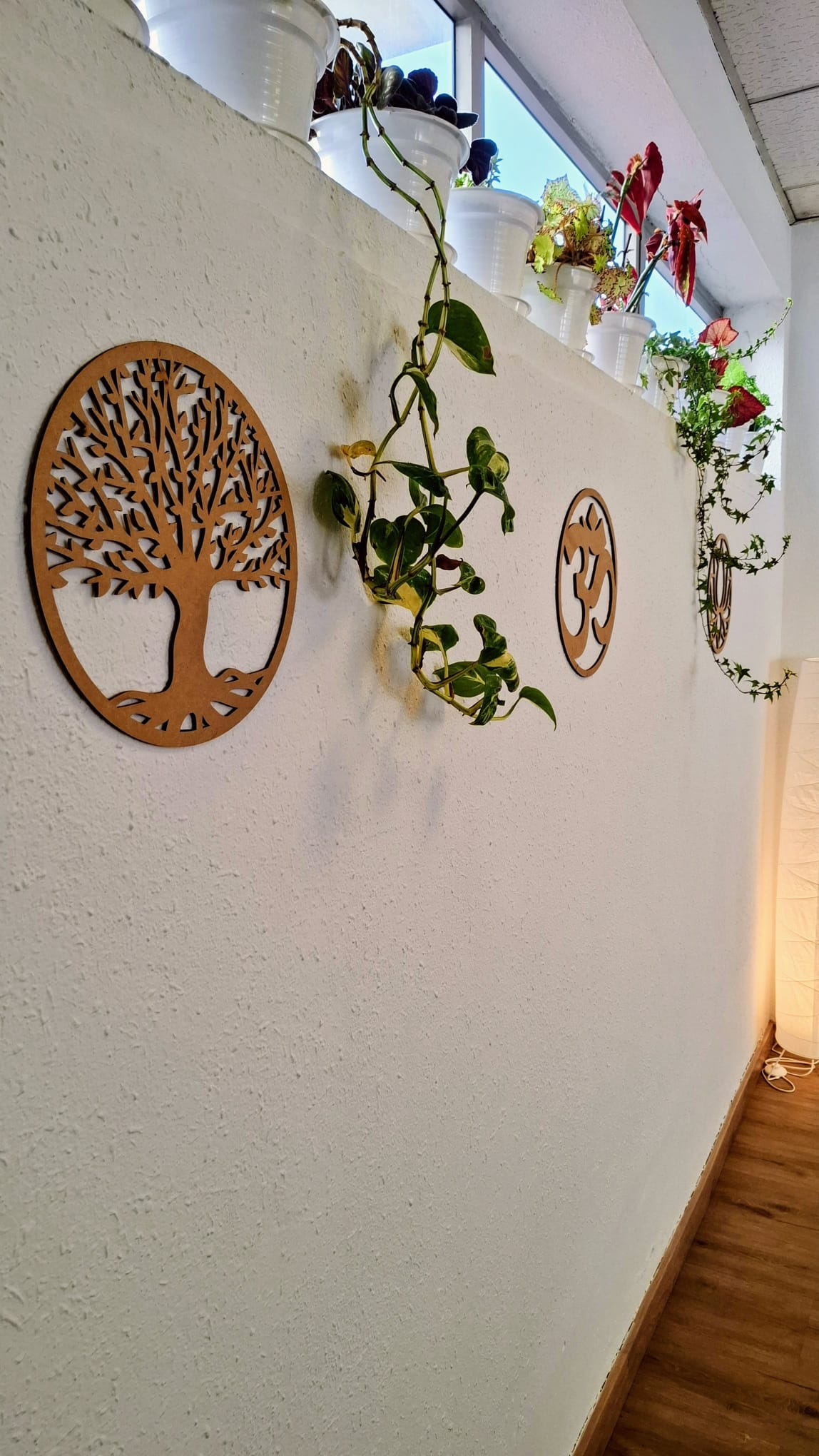 Nuestra sala — vista 7